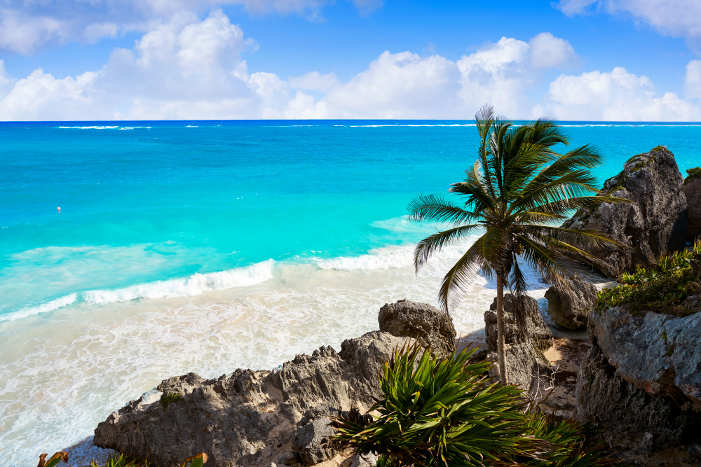 Caraïbes